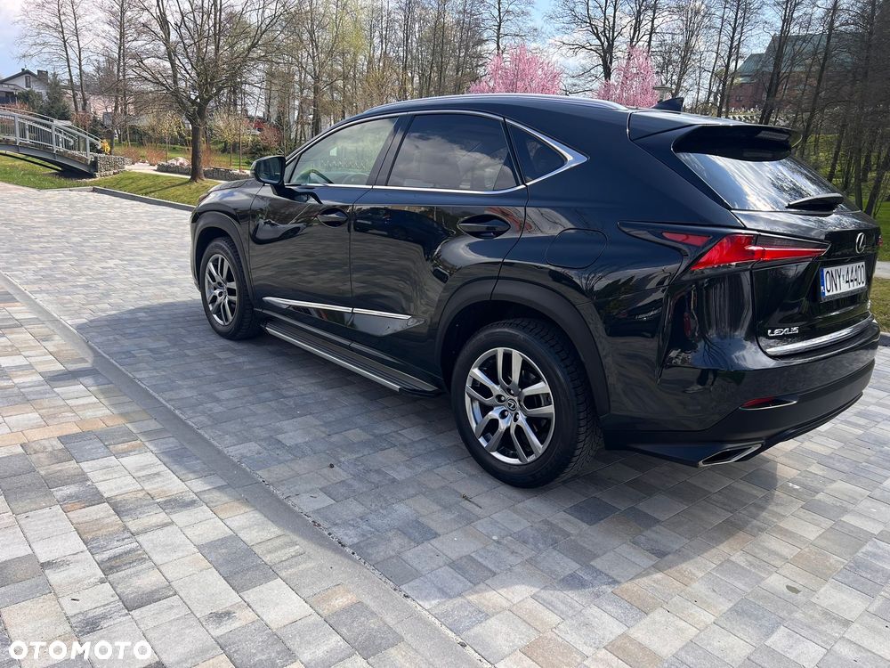 Lexus NX 300 Elegance Optimum AWD - 8
