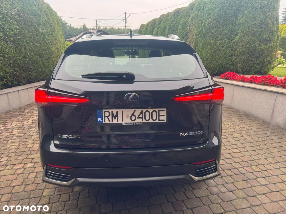 Lexus NX 350h Business AWD - 6