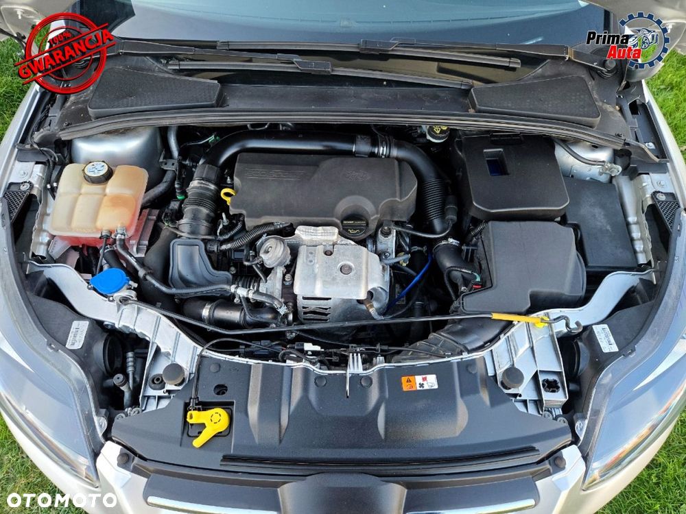 Ford Focus - 31