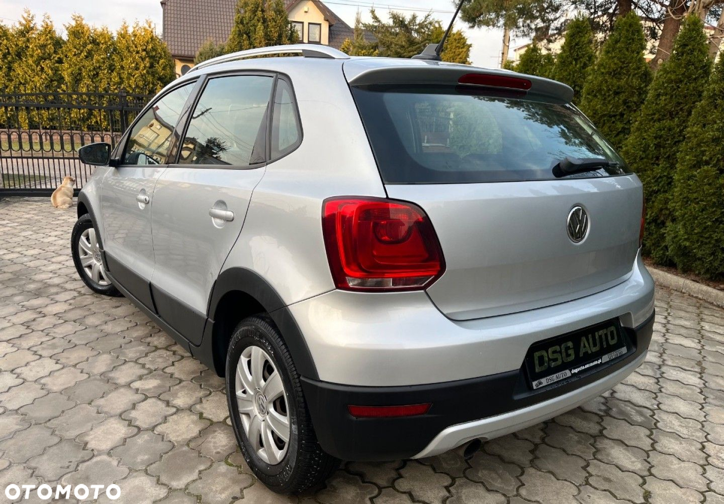 Volkswagen Polo Cross - 13