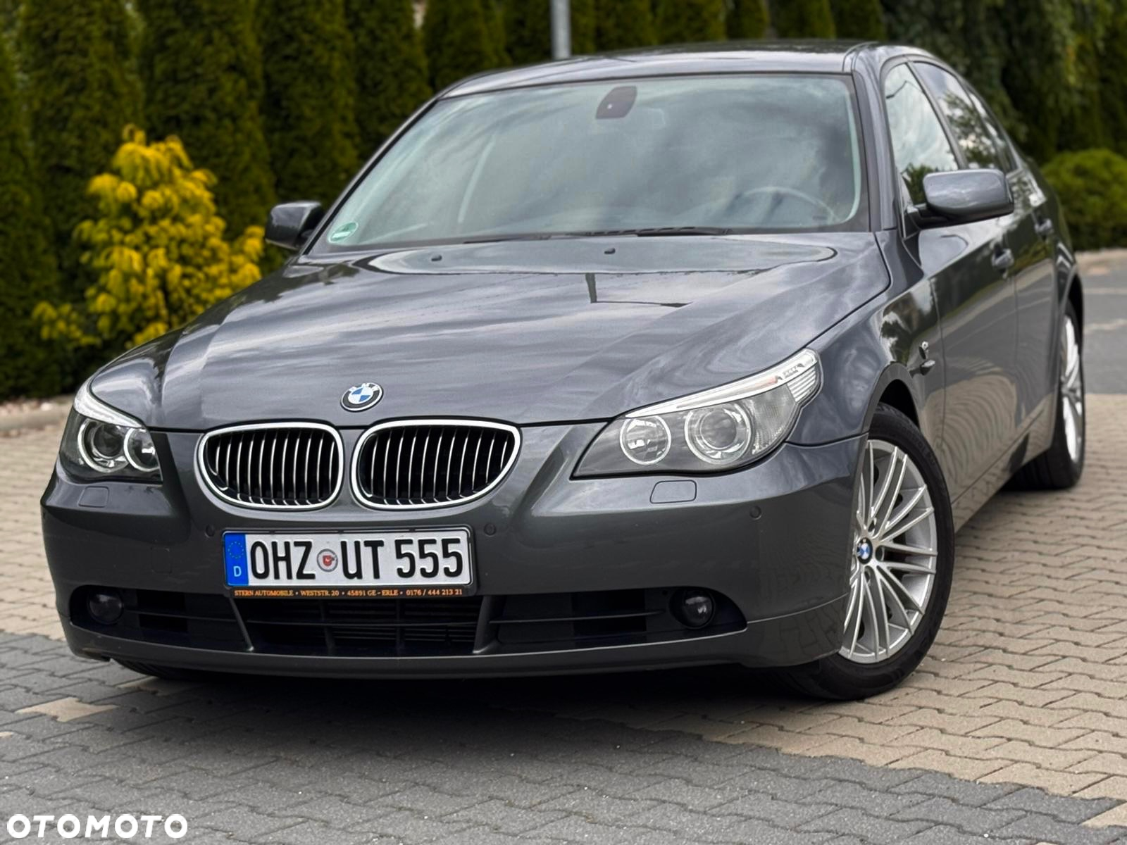 BMW Seria 5 545i - 7