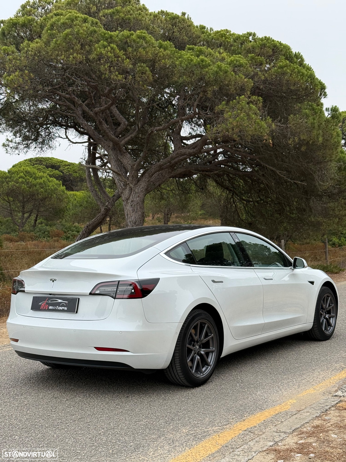 Tesla Model 3 Standard RWD Plus - 3