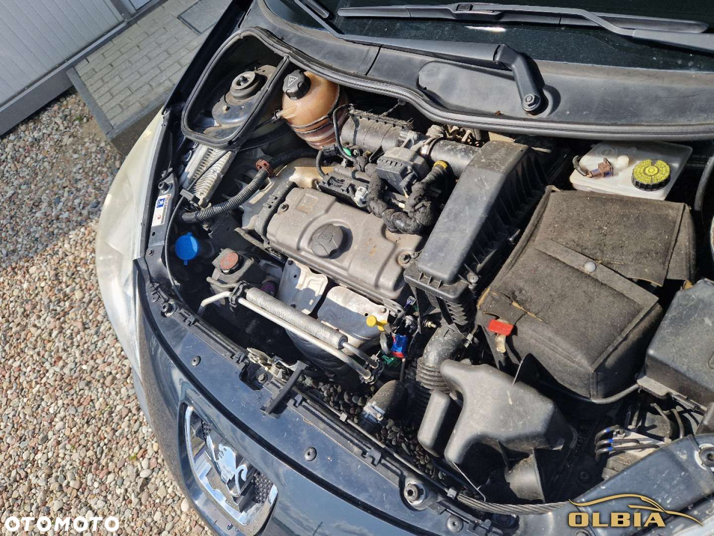 Peugeot 206 plus - 17
