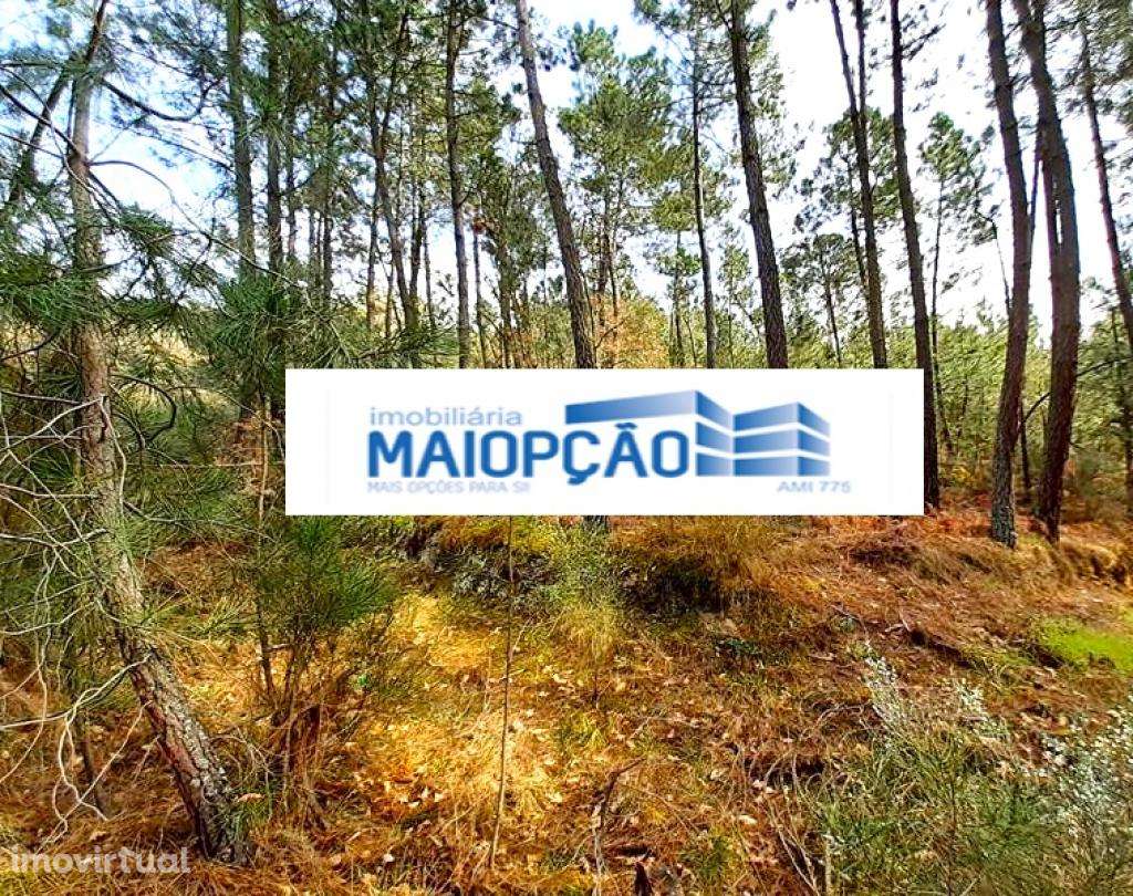 Terreno T5+ - Grande imagem: 3/5