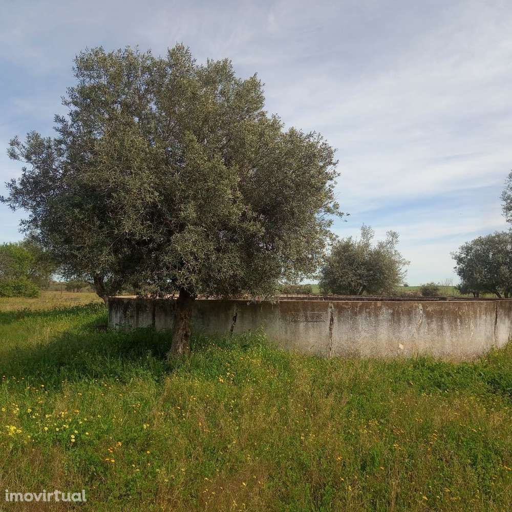 Terreno com Monte Alentejano - Grande imagem: 5/13