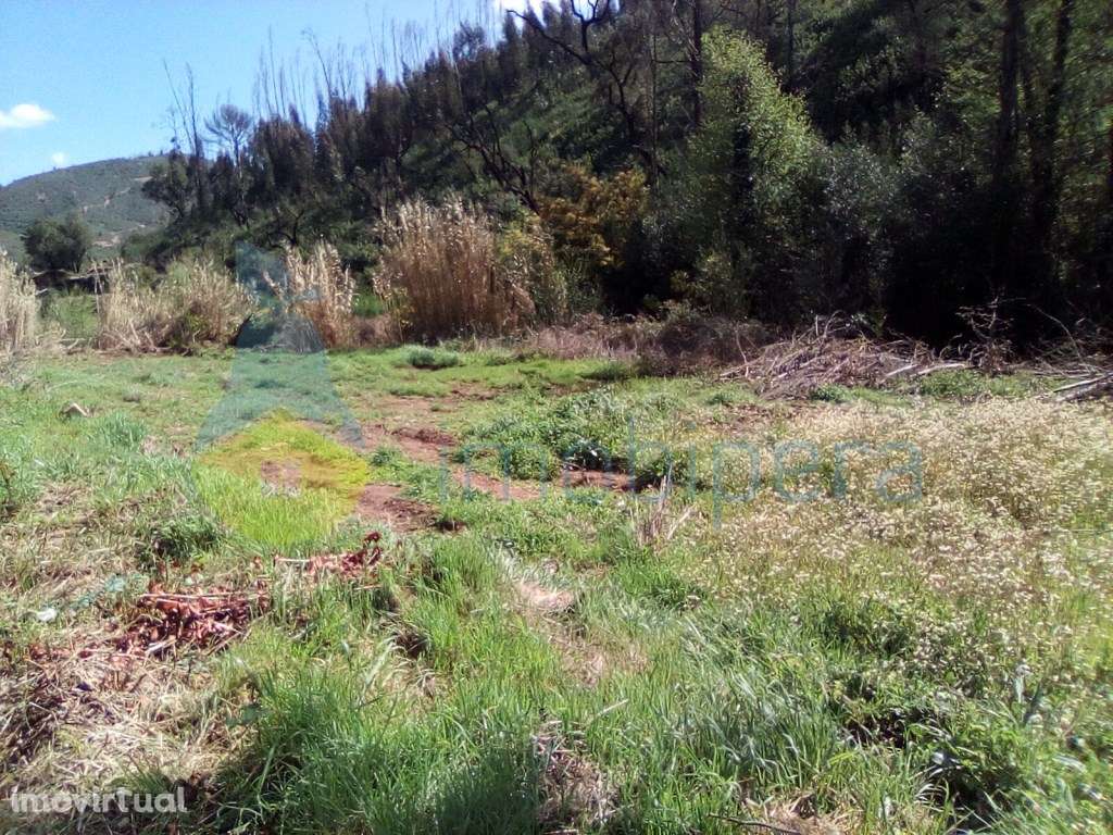 Terreno Rústico

Rustic Land

Terre rustique - Grande imagem: 2/10