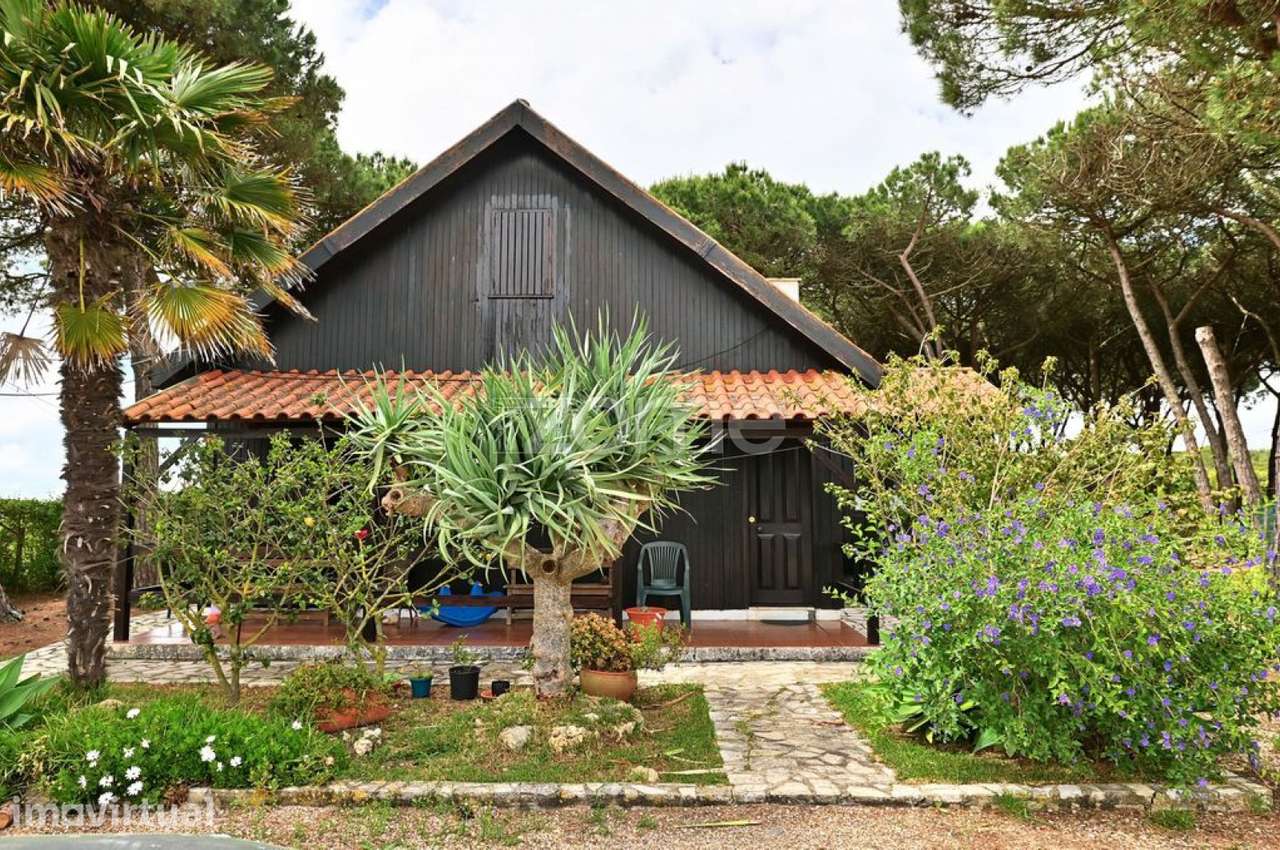 Quinta com 7.000 m2 e moradia em madeira em S. João das Lampas - Grande imagem: 4/30
