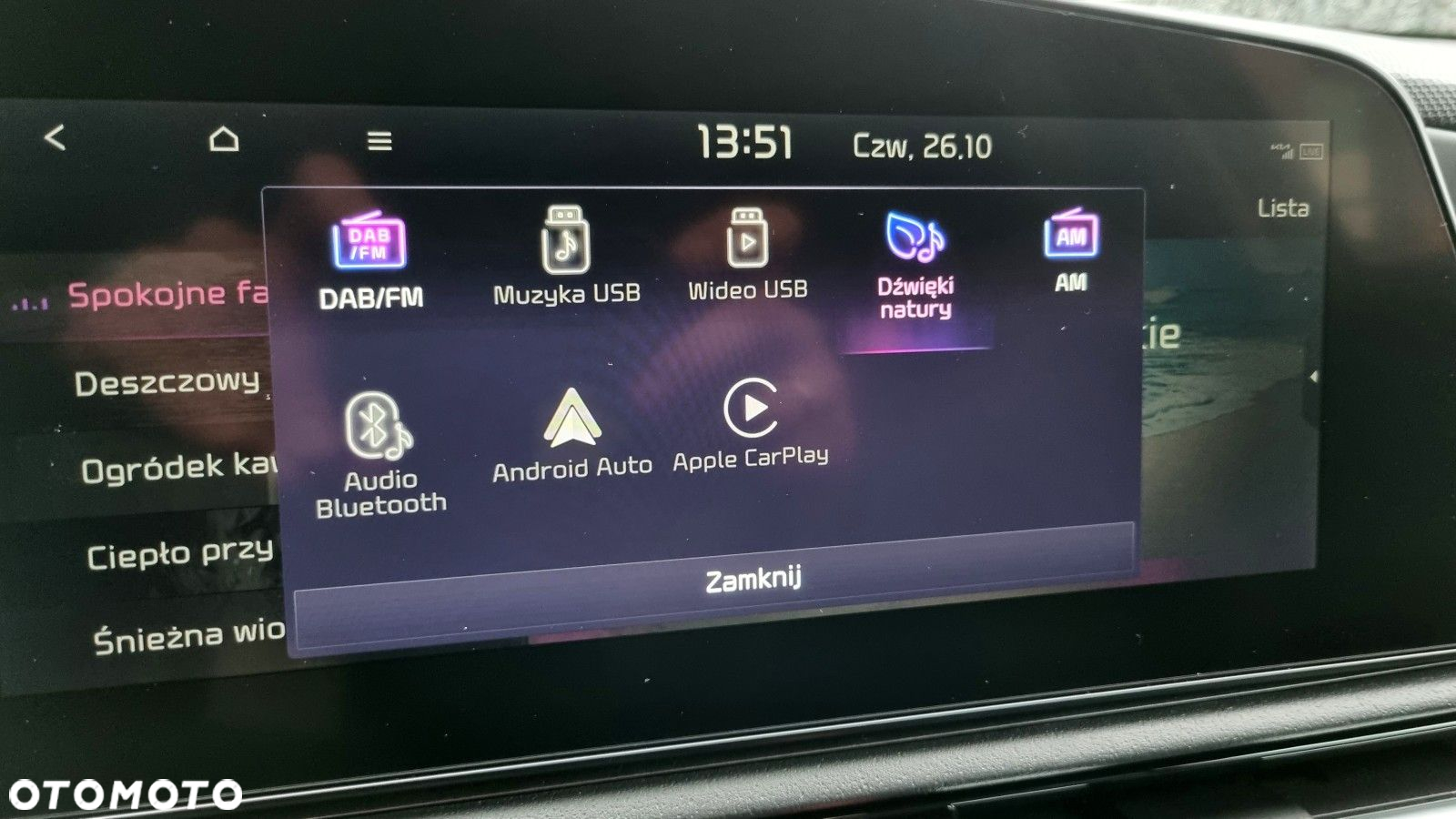 Kia Niro e-Niro 64kWh L - 29