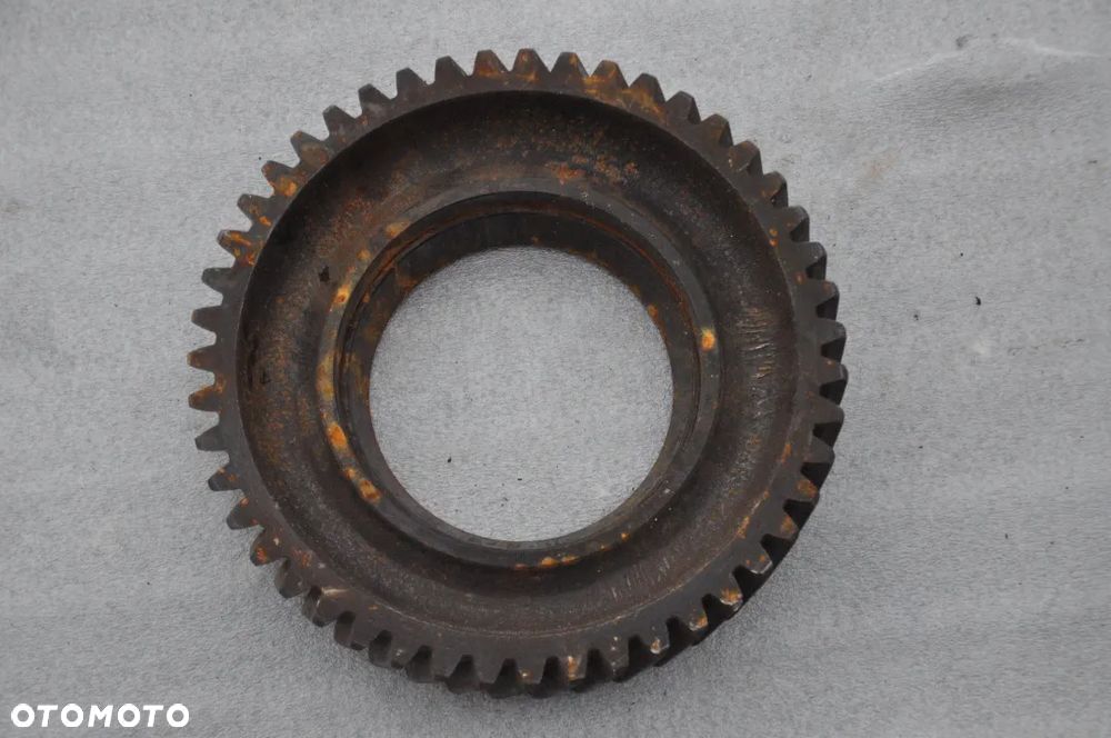 TRYB ZĘBATKA ZWOLNICY MERLO - 2