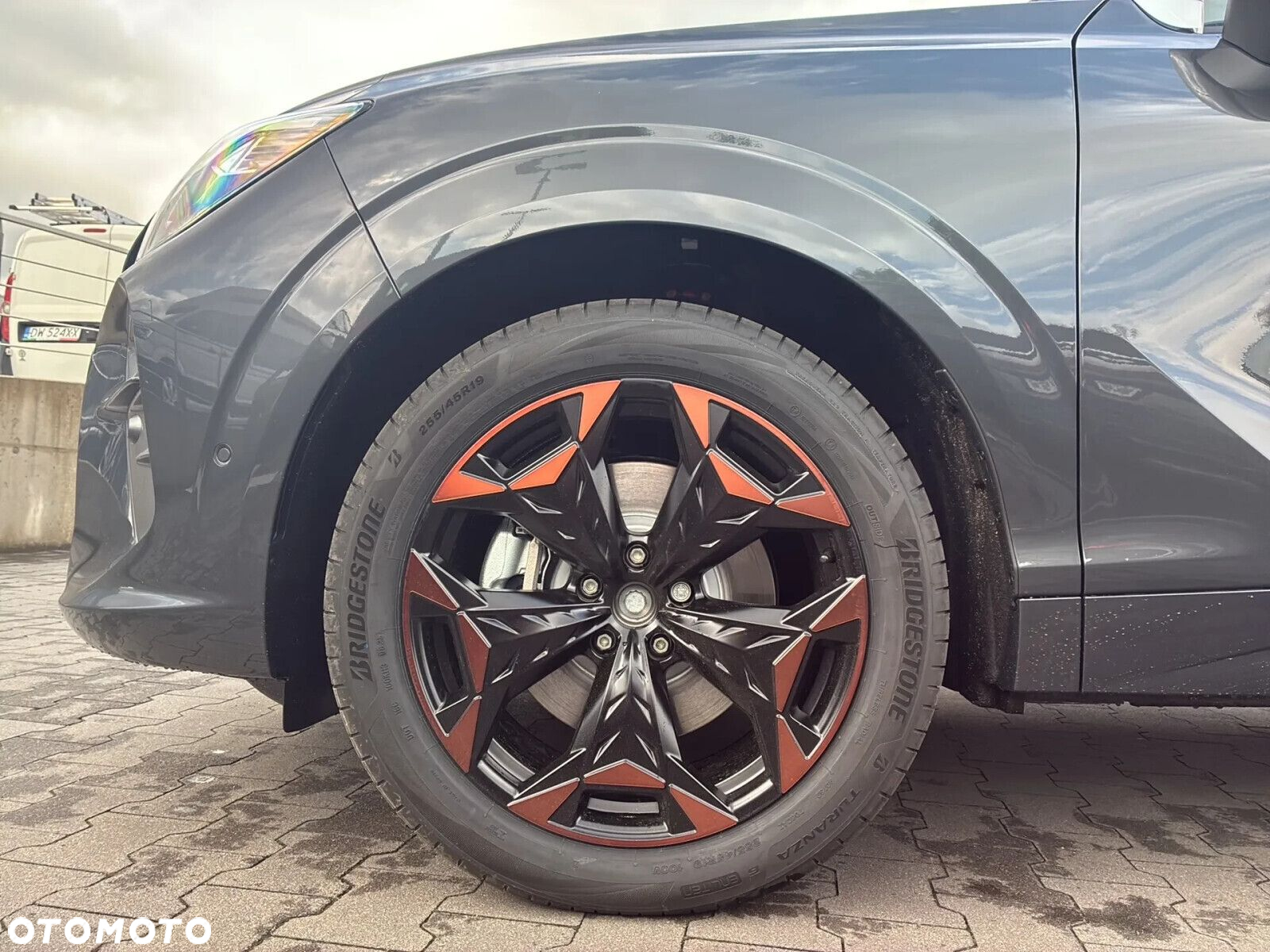 Cupra Terramar - 21