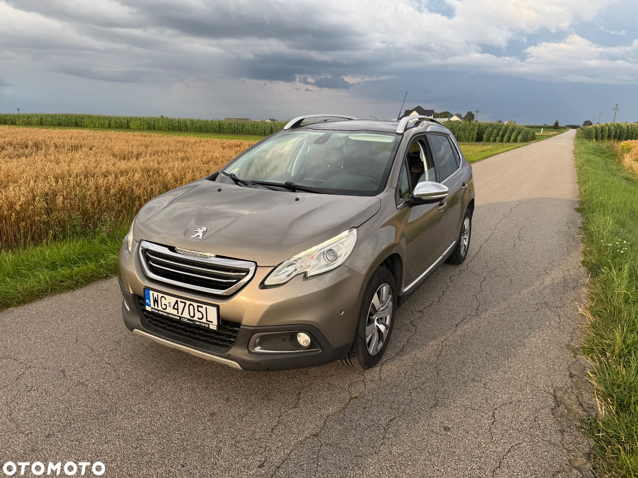Peugeot 2008 - 9