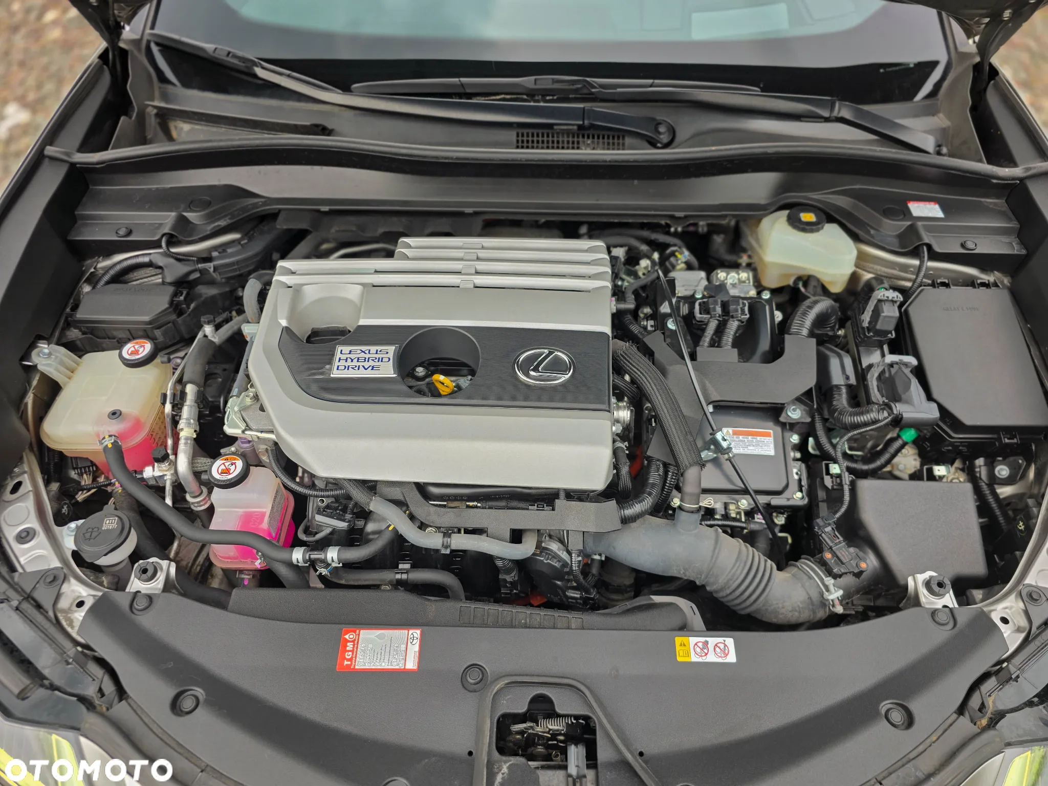 Lexus UX 250h Prestige 2WD - 20