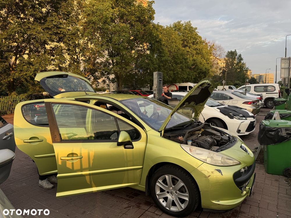 Peugeot 207 - 4