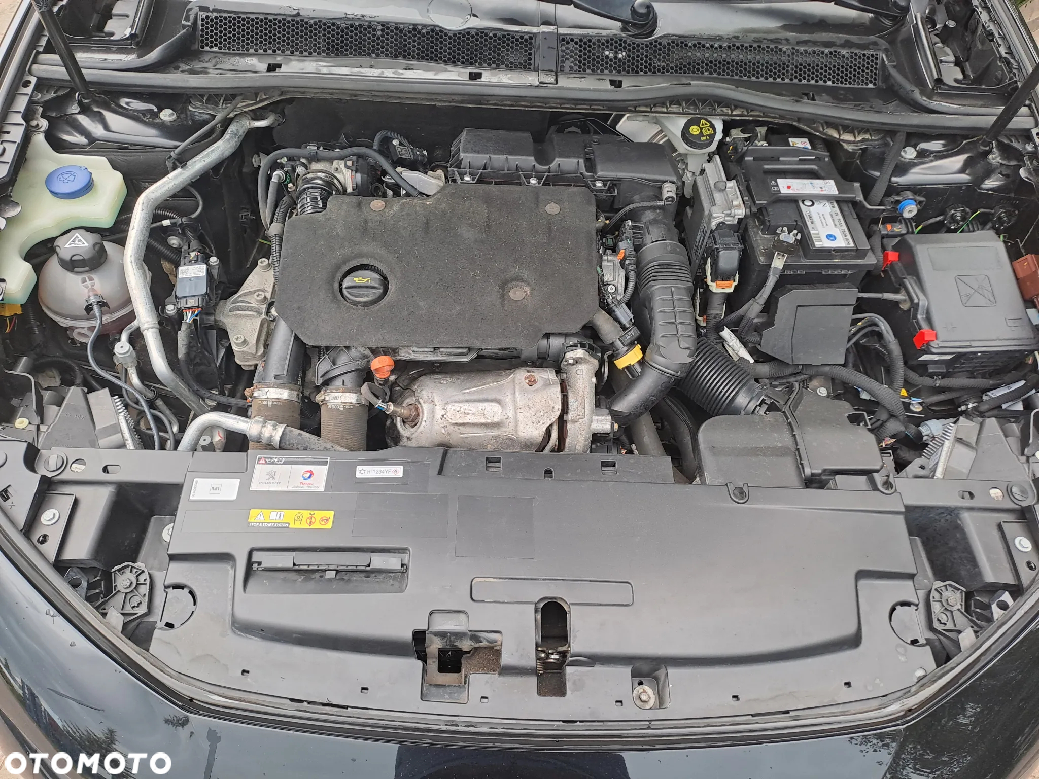 Peugeot 508 SW BlueHDi 130 GT S&S EAT8 - 32