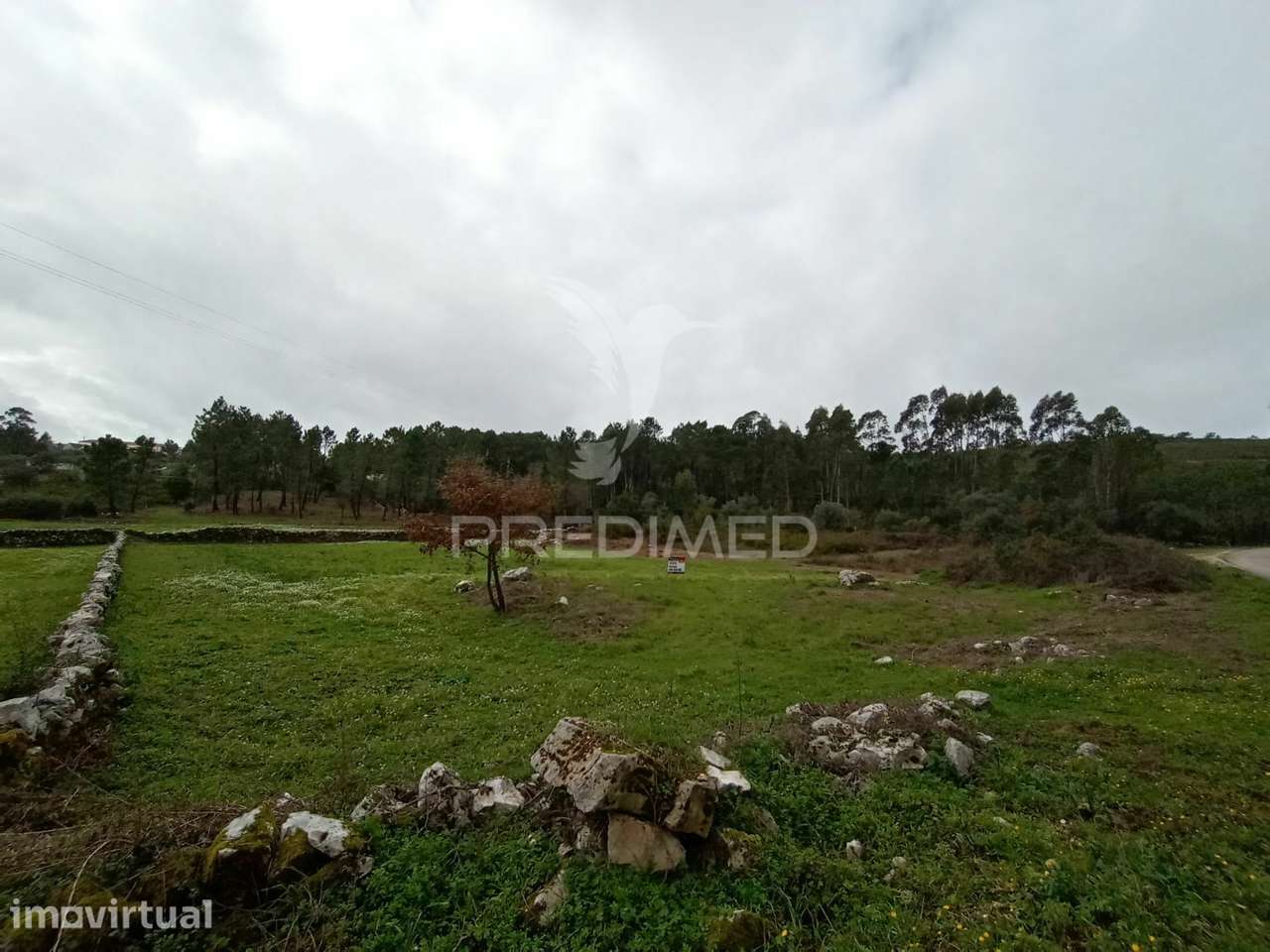 Terreno Agrícola Giesteira - Fátima - Grande imagem: 2/4