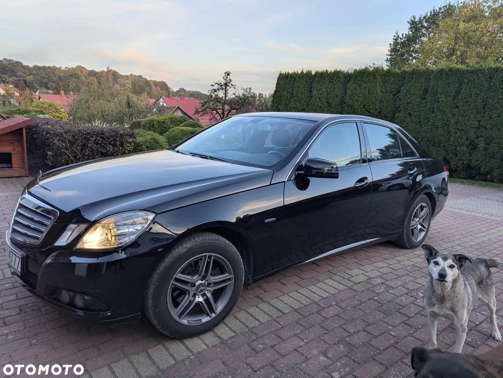Mercedes-Benz Klasa E 200 CGI BlueEFFICIENCY Automatik - 3