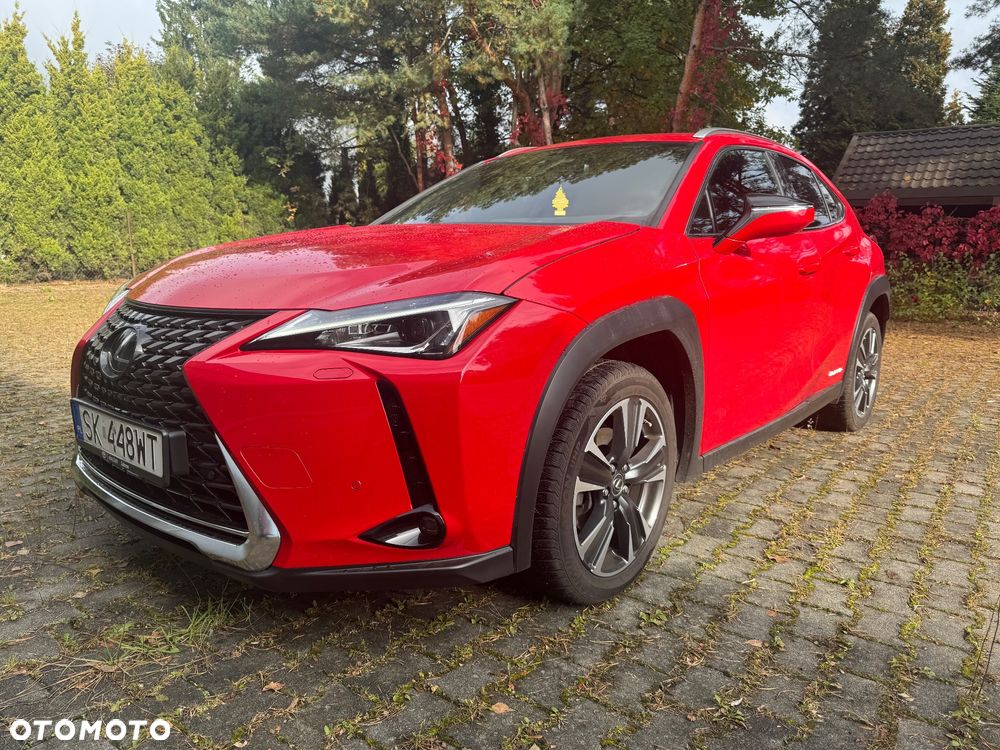 Lexus UX 250h GPF Business Edition 2WD - 2
