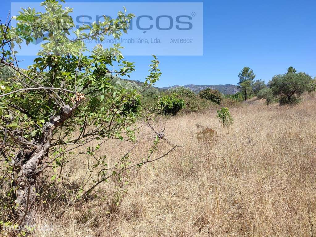 Quinta dos Mentelinhos - Monte do Arneiro - Grande imagem: 4/11