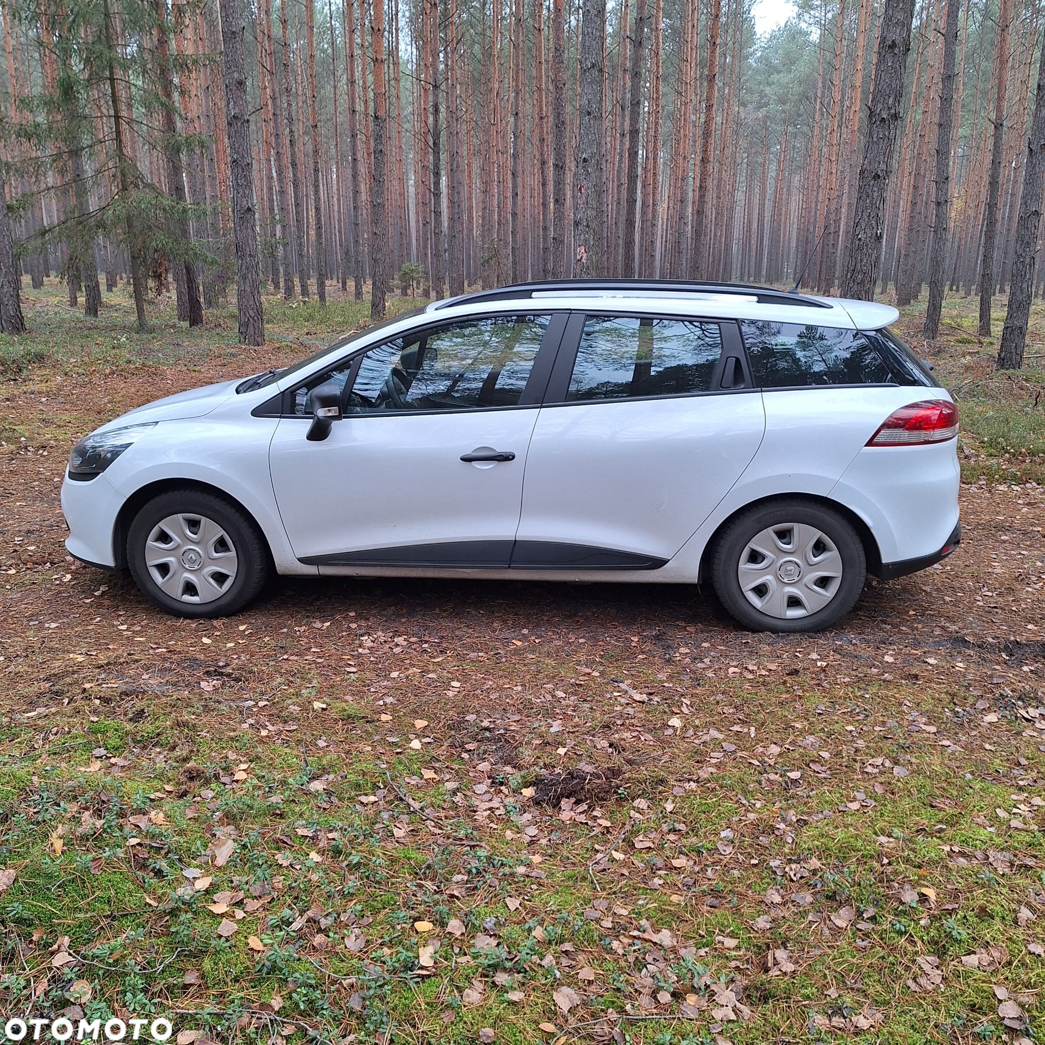 Renault Clio - 5