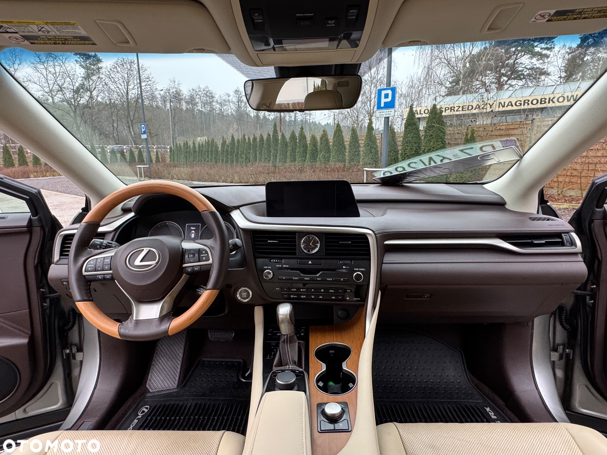 Lexus RX - 17