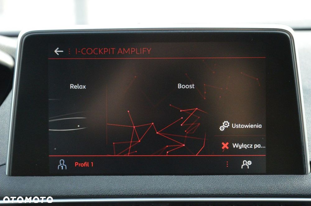 Peugeot 3008 - 25