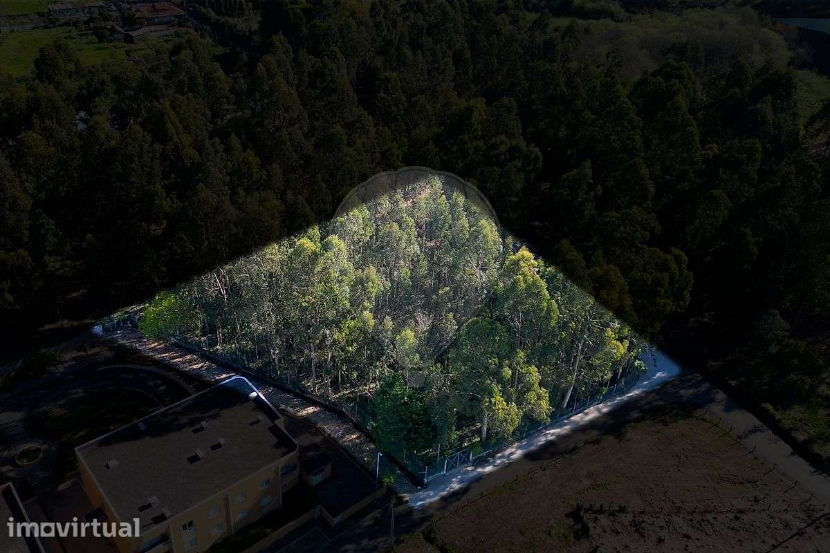 Terreno  para venda - Grande imagem: 2/14