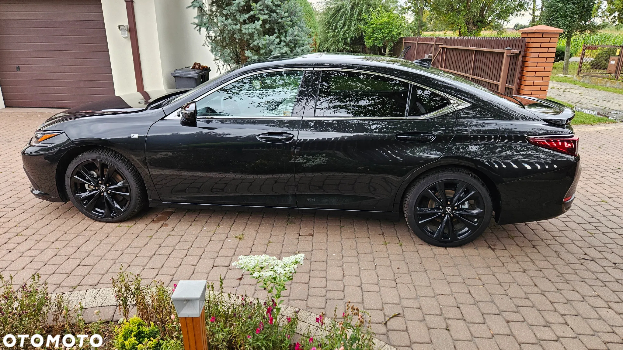 Lexus ES 300h F Sport Edition - 9
