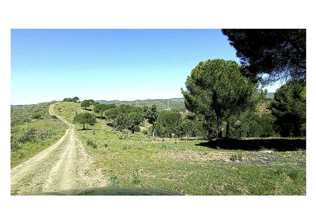 Venda Quinta/Herdade - Grande imagem: 2/10