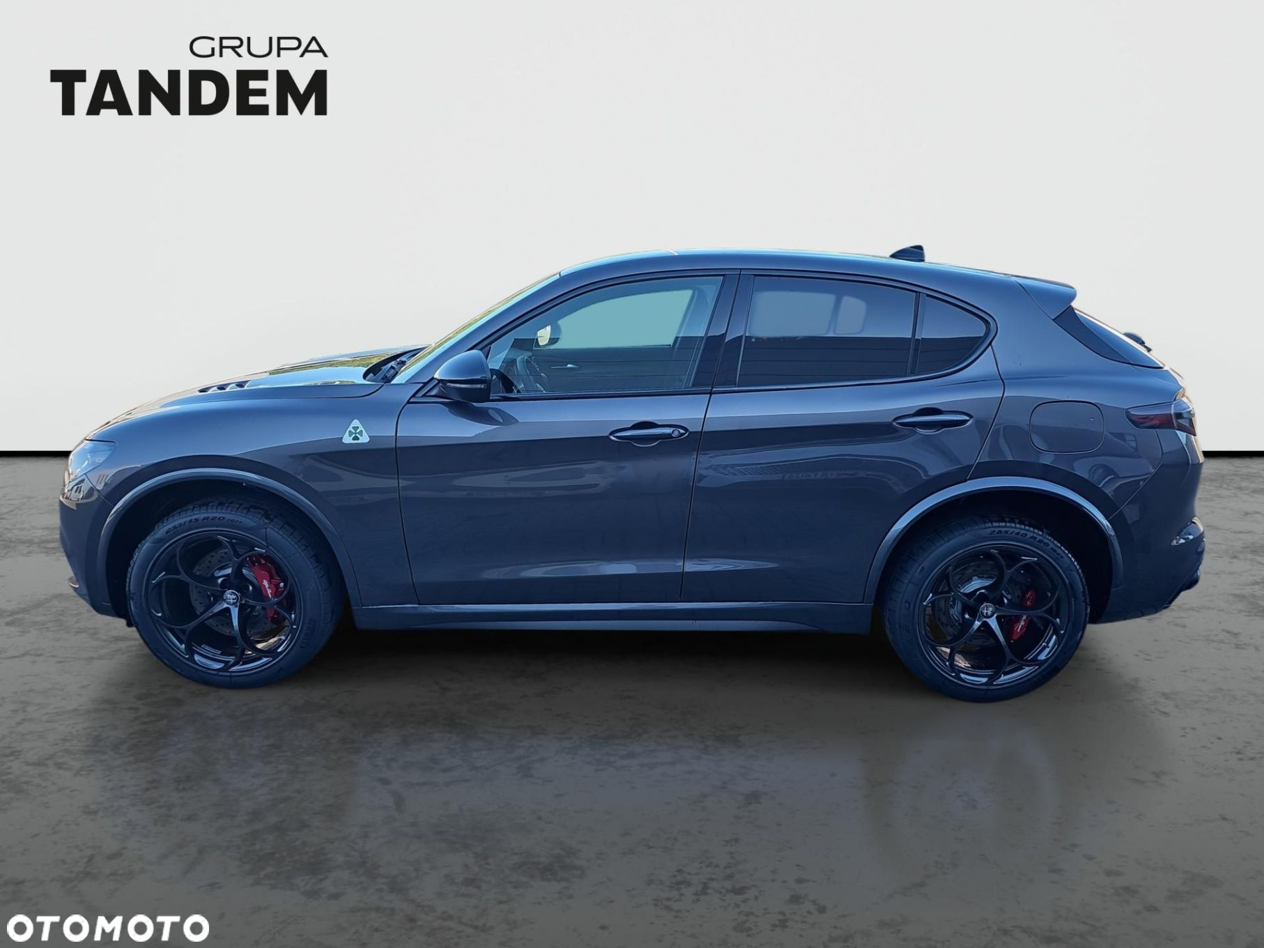 Alfa Romeo Stelvio 2.9 Bi Turbo V6 Quadrifoglio Q4 - 7
