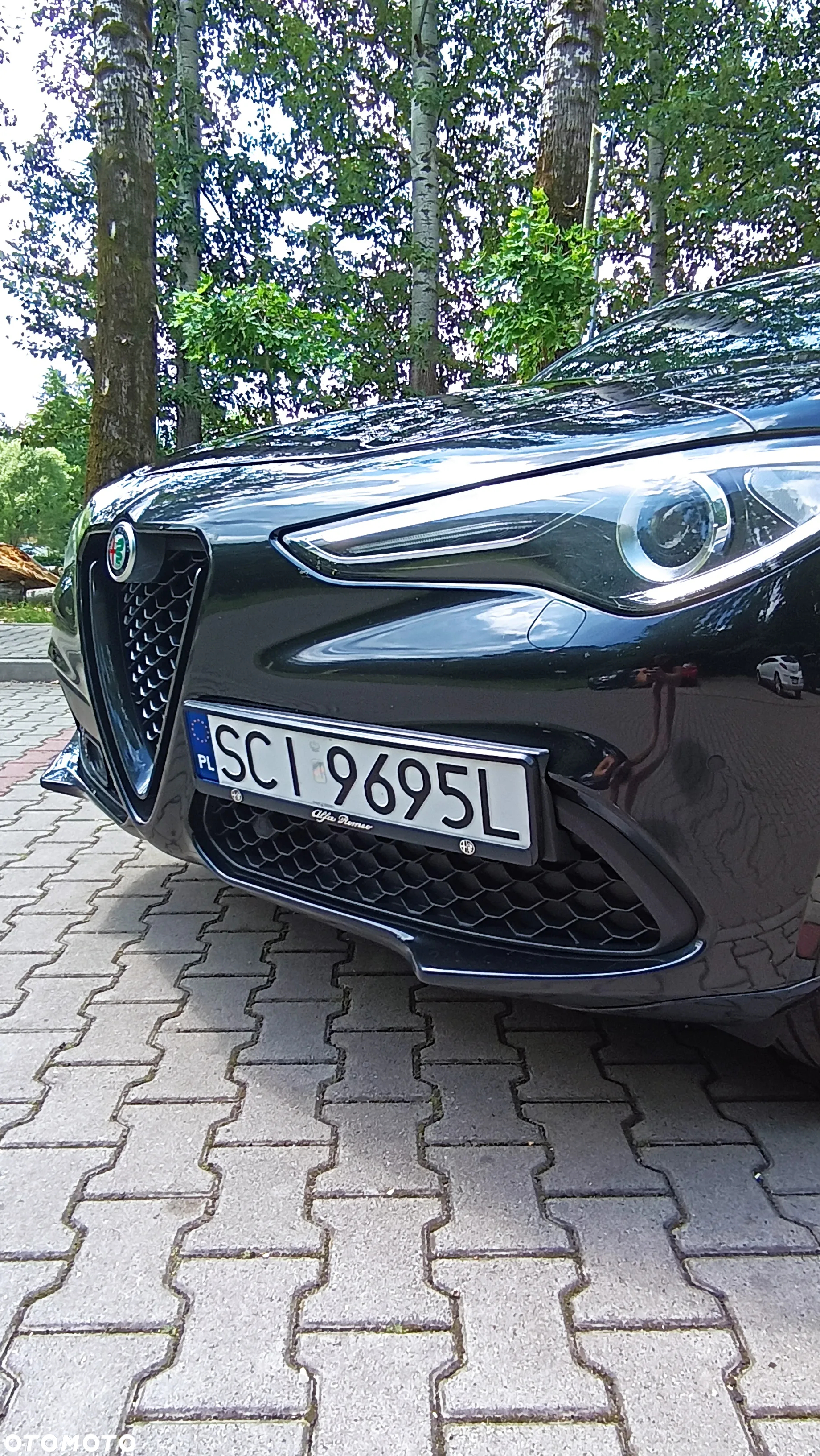 Alfa Romeo Stelvio 2.0 Turbo Veloce Q4 - 11