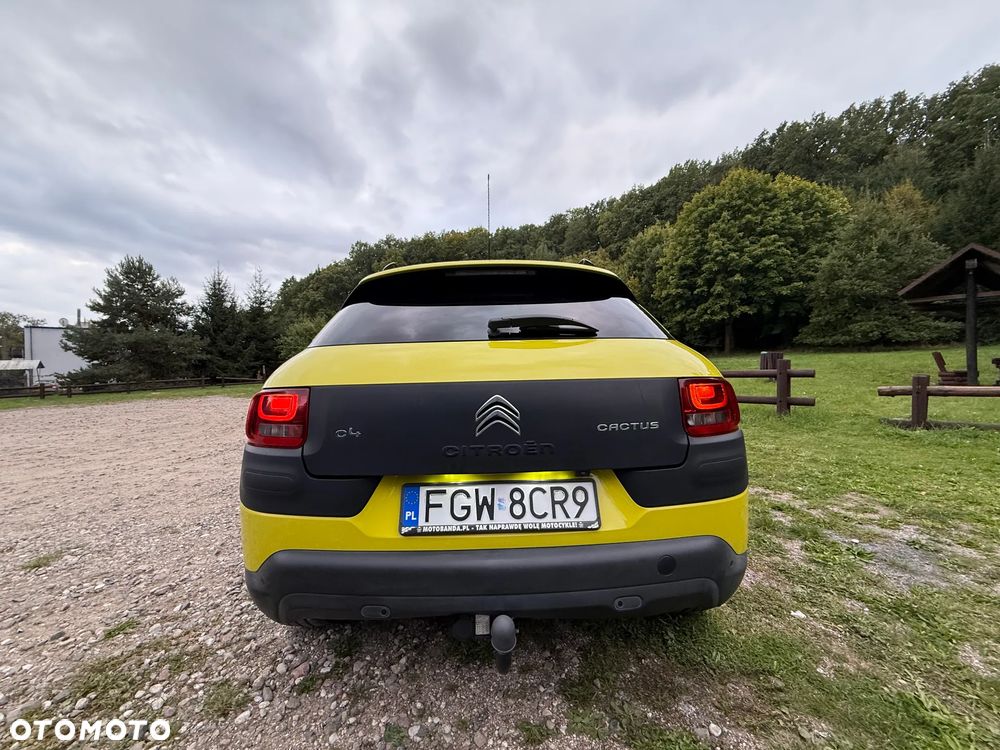Citroën C4 Cactus 1.2 PureTech Shine - 10