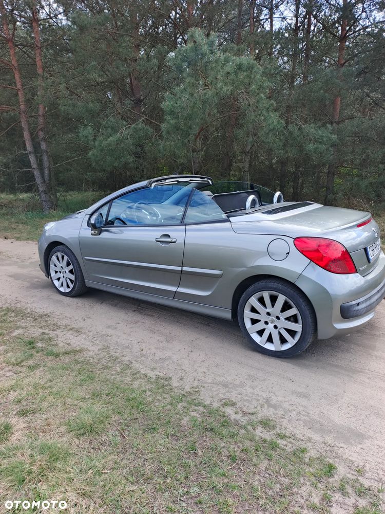 Peugeot 207 - 17