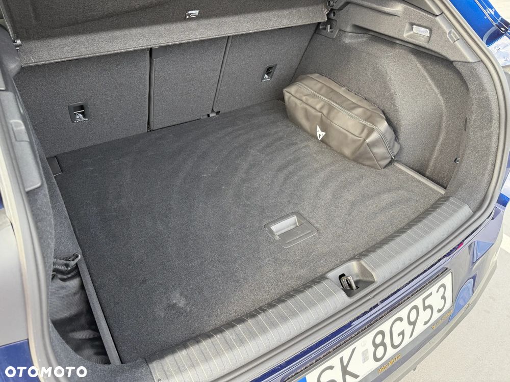 Cupra Terramar - 20