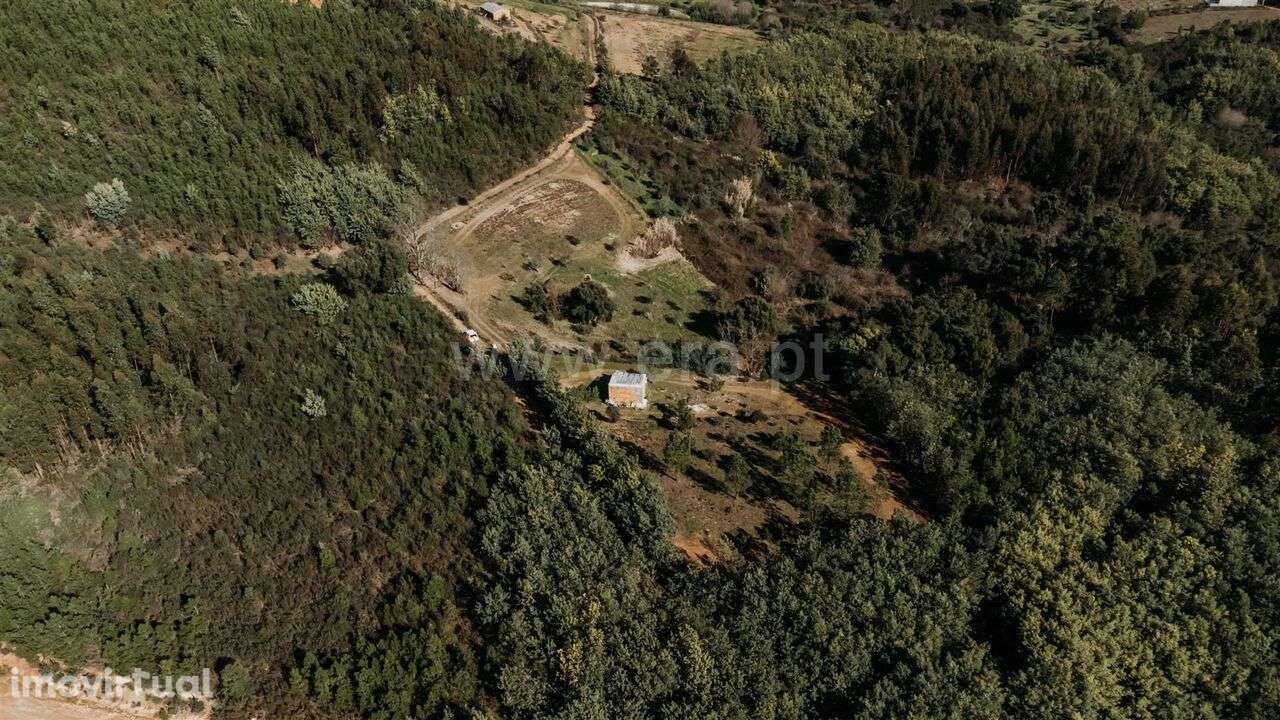 Quintinha Estúdio / Covilhã, Peso - Grande imagem: 2/18