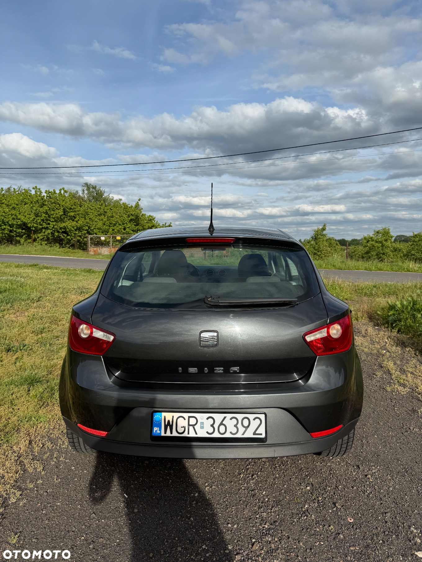 Seat Ibiza - 6