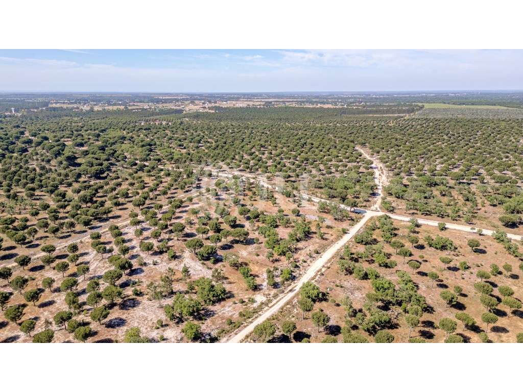 Terreno com PIP aprovado, em Benavente, Santarém - Grande imagem: 5/23