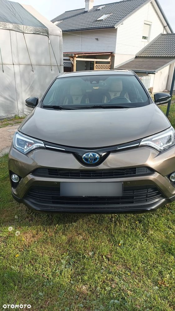 Toyota RAV4 Hybrid Prestige 4x2 - 1