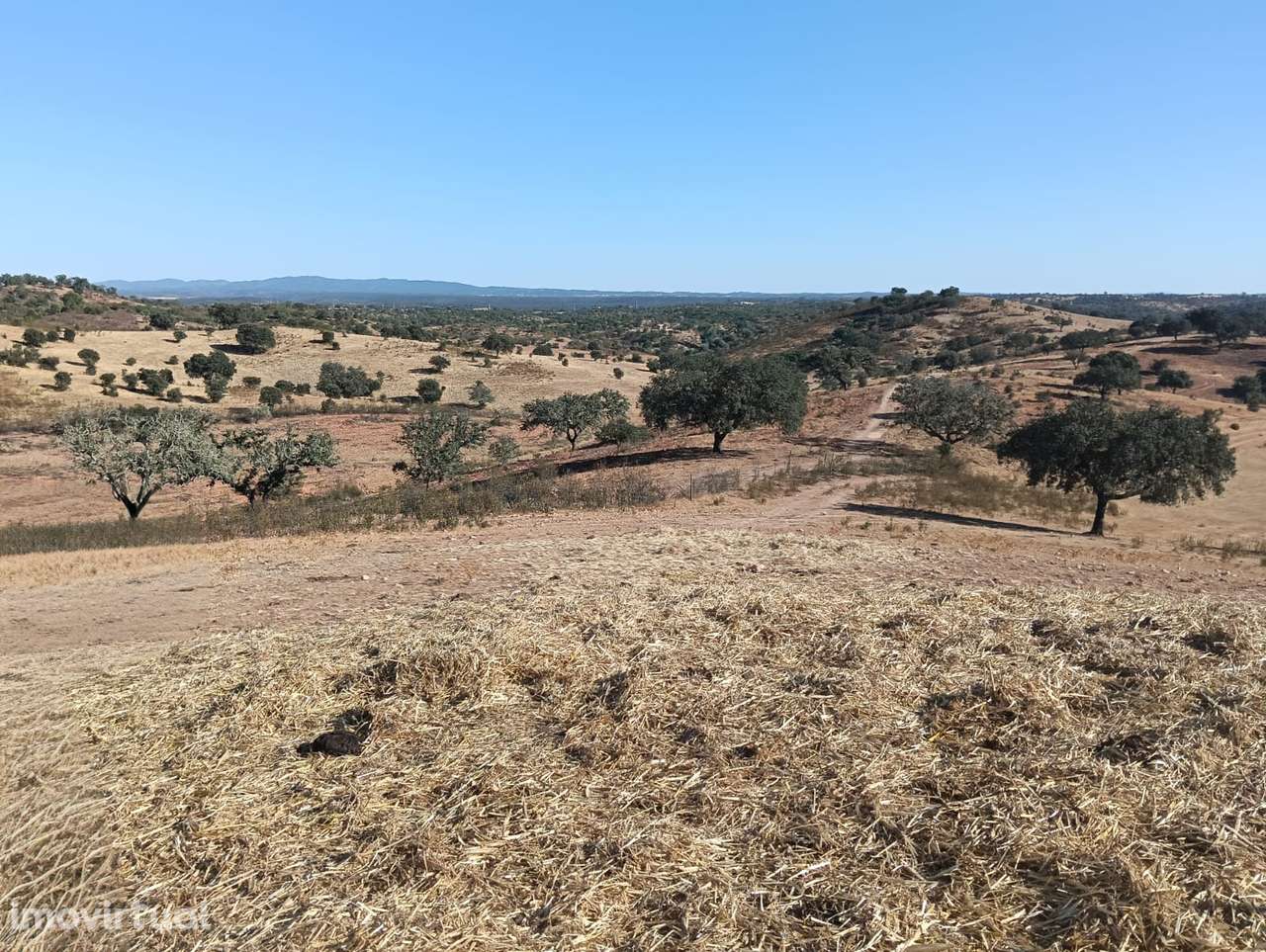 HERDADE | VENDA | ALENTEJO | SERPA - Grande imagem: 2/49