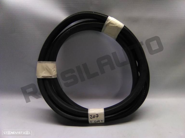 Borracha De  Carroçaria Porta Trás Direita  Peugeot 207 [2006_2 - 1