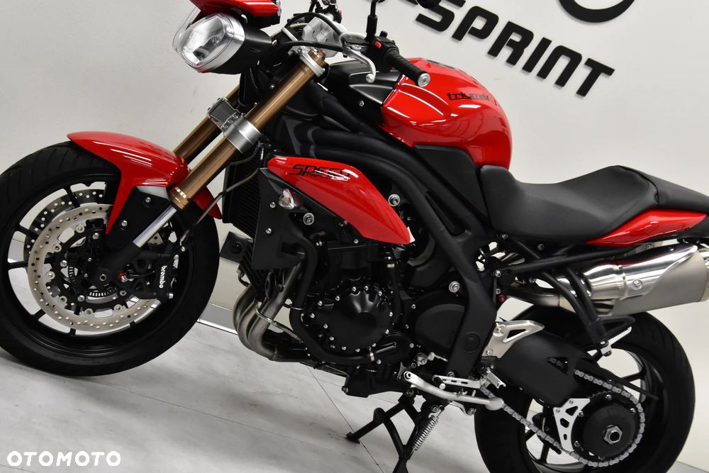 Triumph Speed Triple - 14