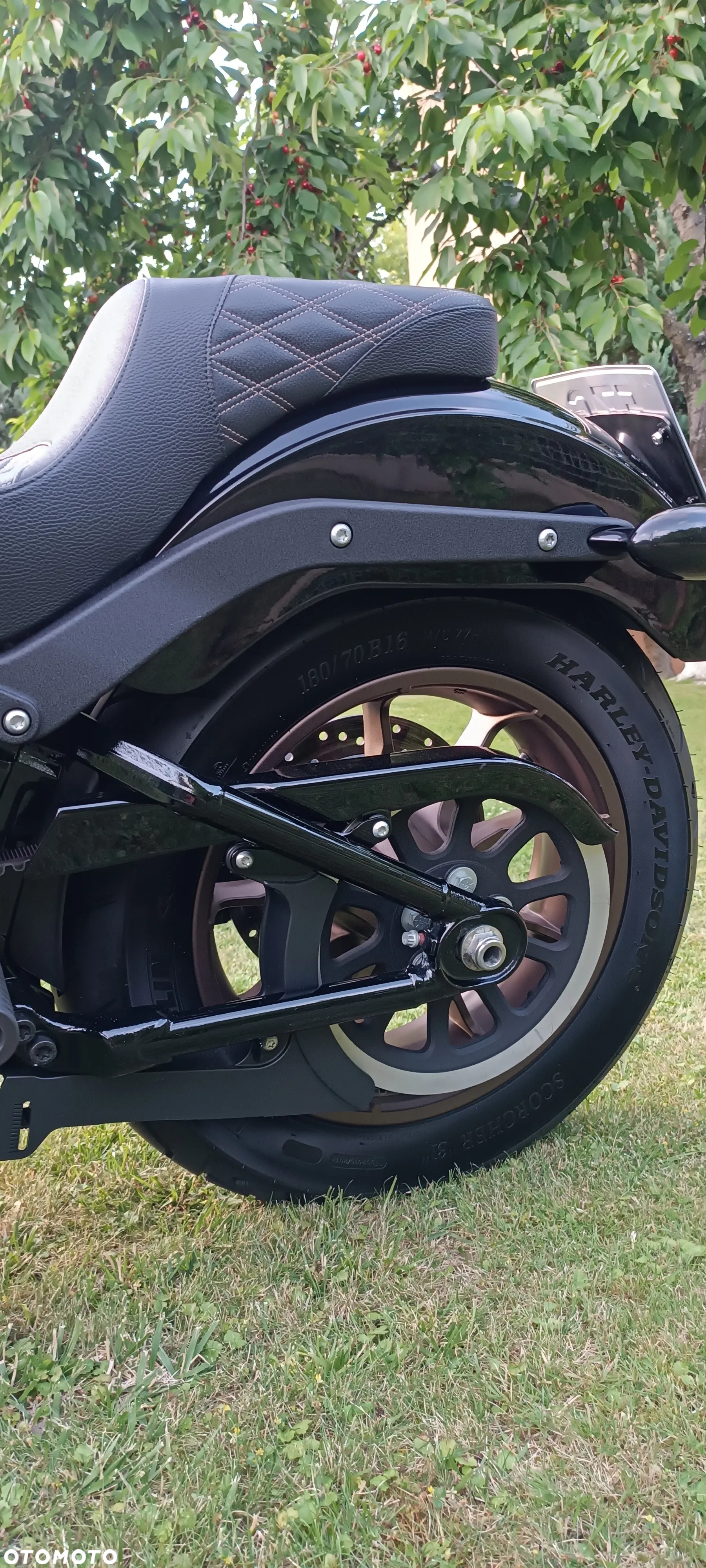 Harley-Davidson Softail Low Rider - 13