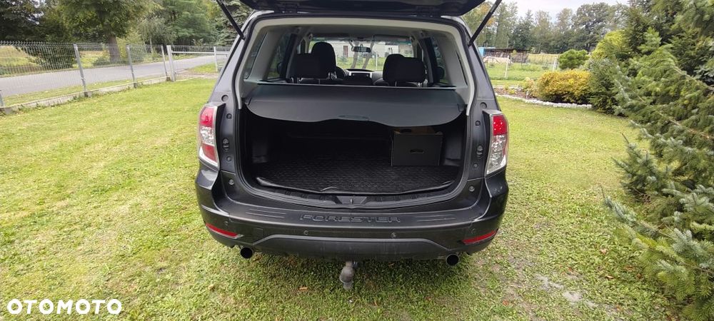 Subaru Forester - 6