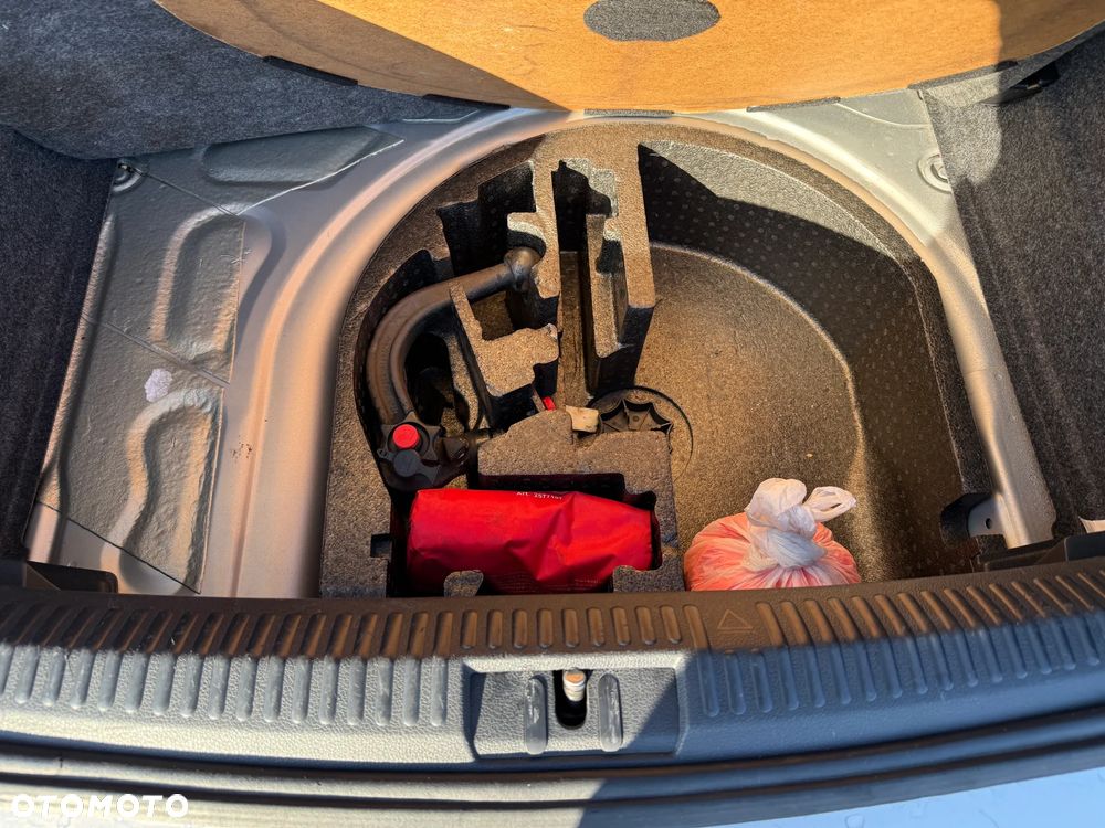 Volkswagen Polo Cross - 19