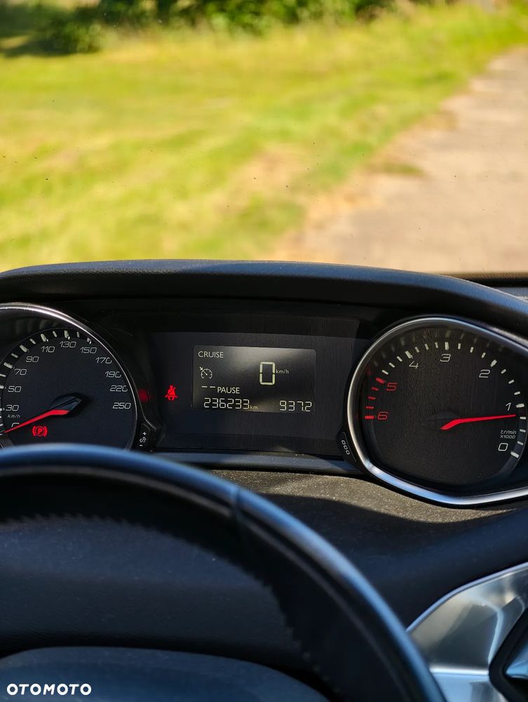 Peugeot 308 1.6 BlueHDi Active S&S - 20