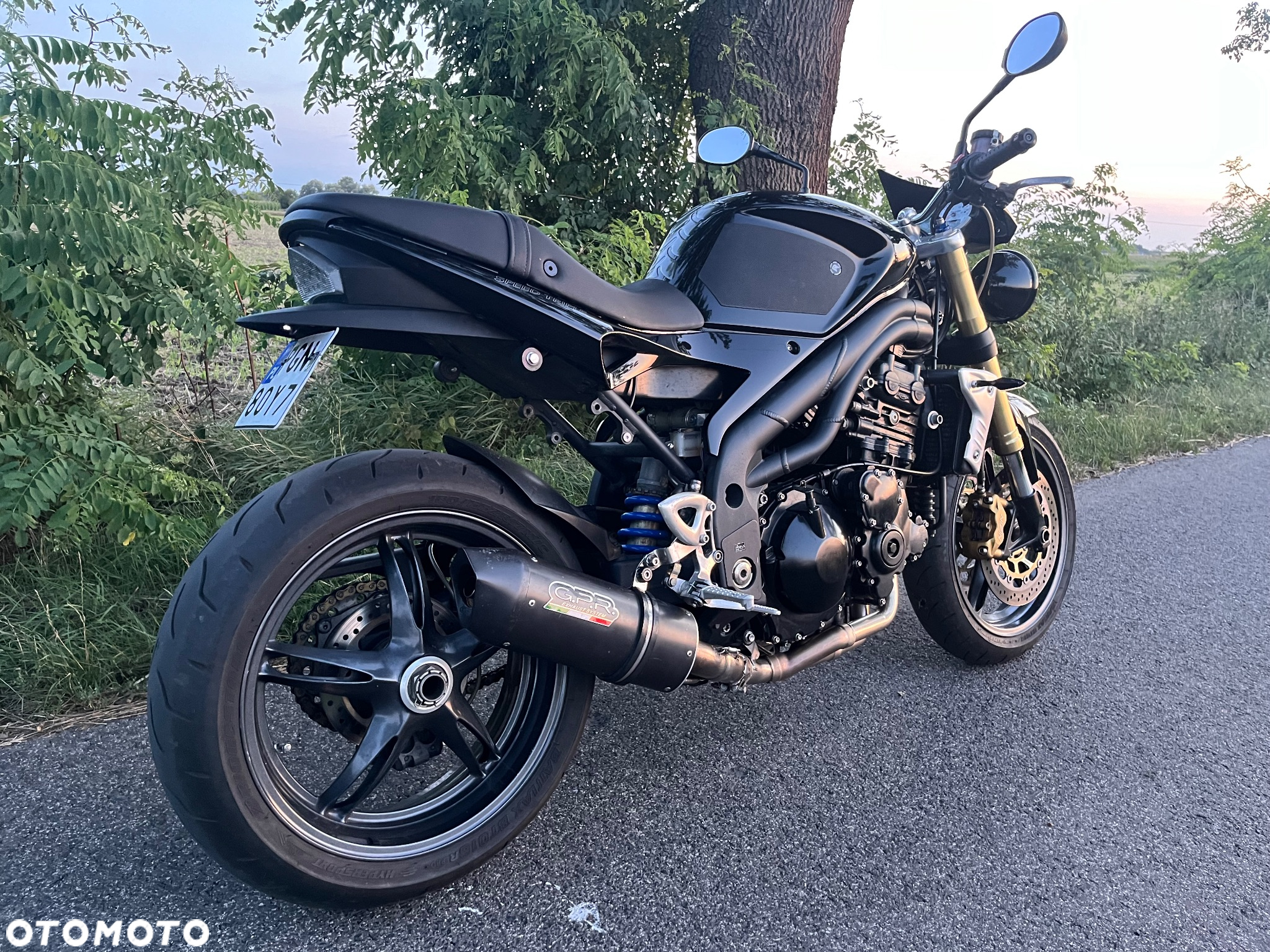 Triumph Speed Triple - 3