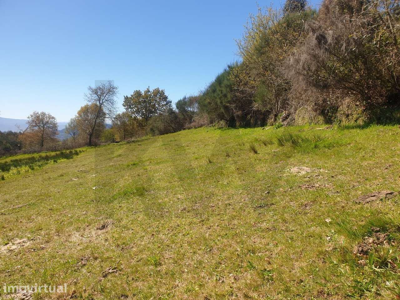 Terreno Rústico em Asnela (Cabeceiras de Basto) – 2800m2 de Natureza e - Grande imagem: 2/6