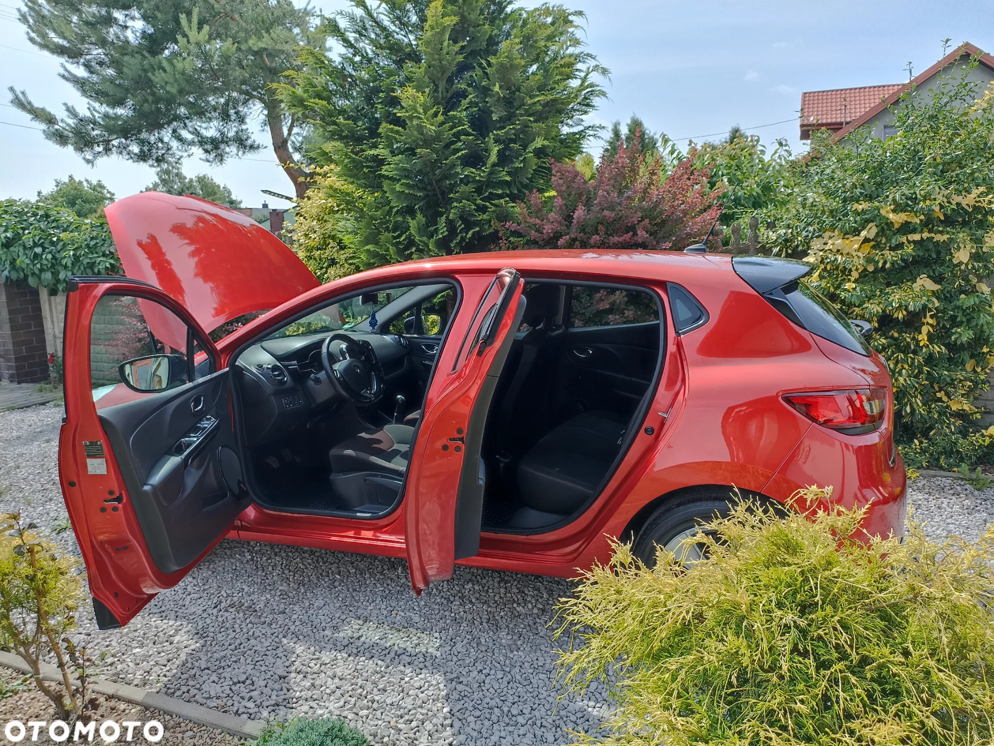 Renault Clio - 14