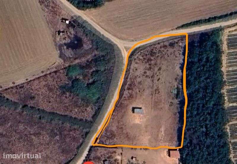 Terreno Agricola perto de Ferrel, Atouguia, Baleal e Peniche 3000m2 - Grande imagem: 4/4