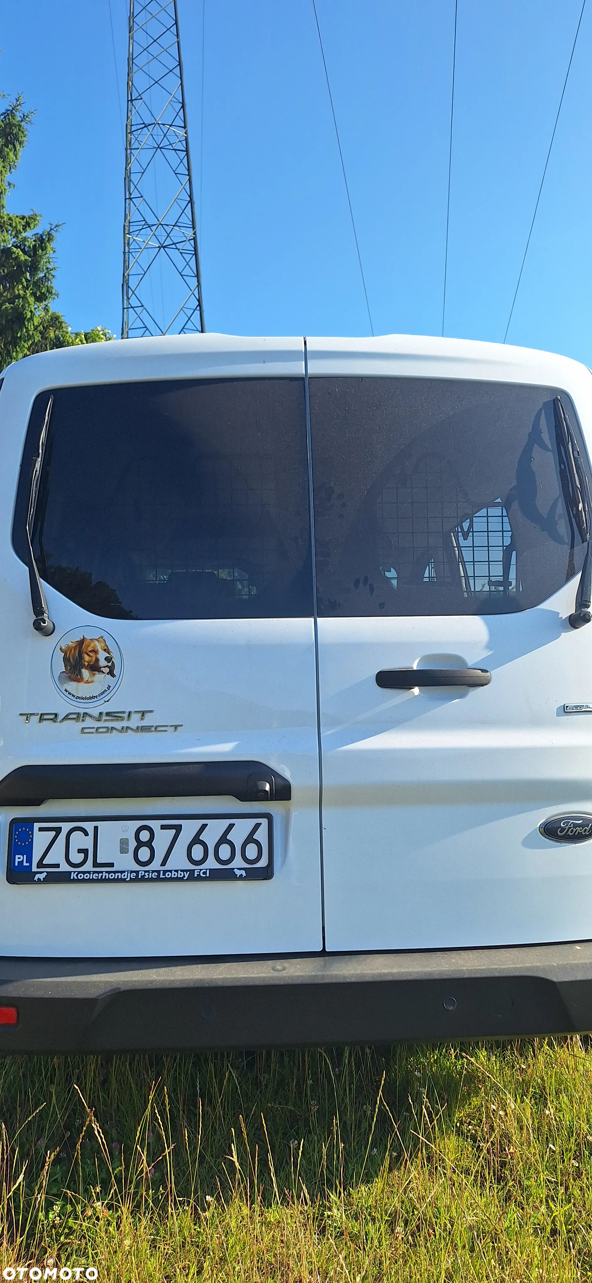 Ford Transit Connect 220 L1 Ambiente - 5