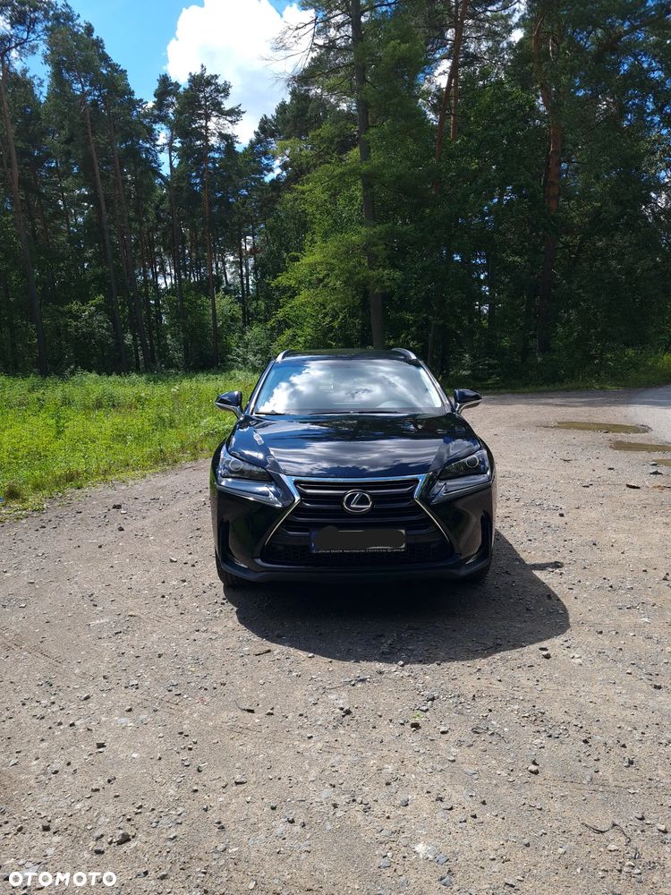 Lexus NX - 2
